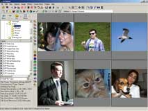 View Multiple Images